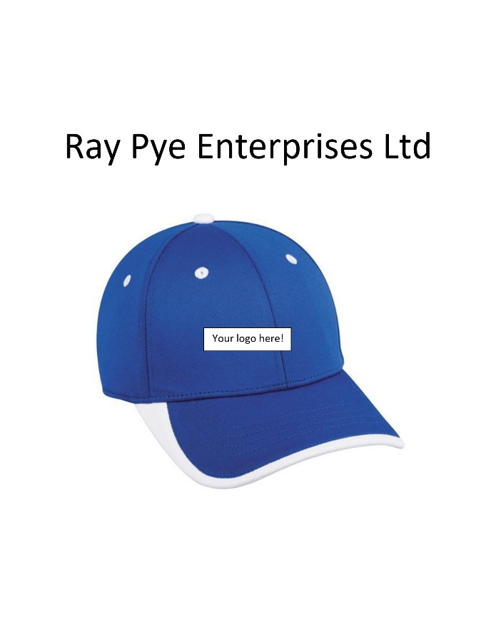Ray Pye Enterprises Ltd