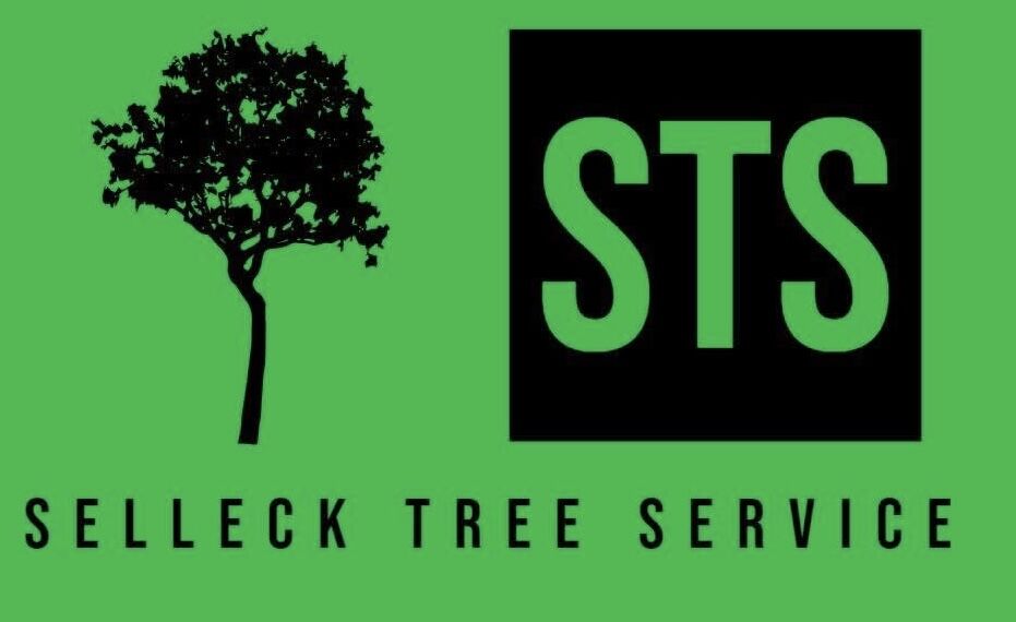 Selleck Tree Service